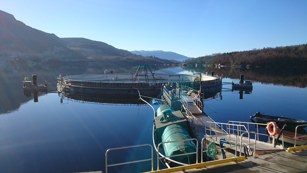 Fish-farming_Panorama